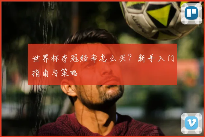 世界杯夺冠赔率怎么买？新手入门指南与策略