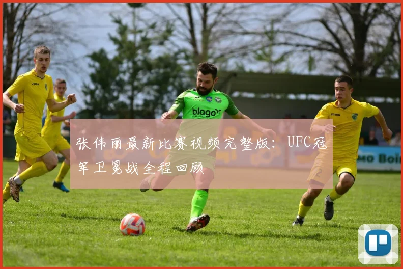 张伟丽最新比赛视频完整版：UFC冠军卫冕战全程回顾