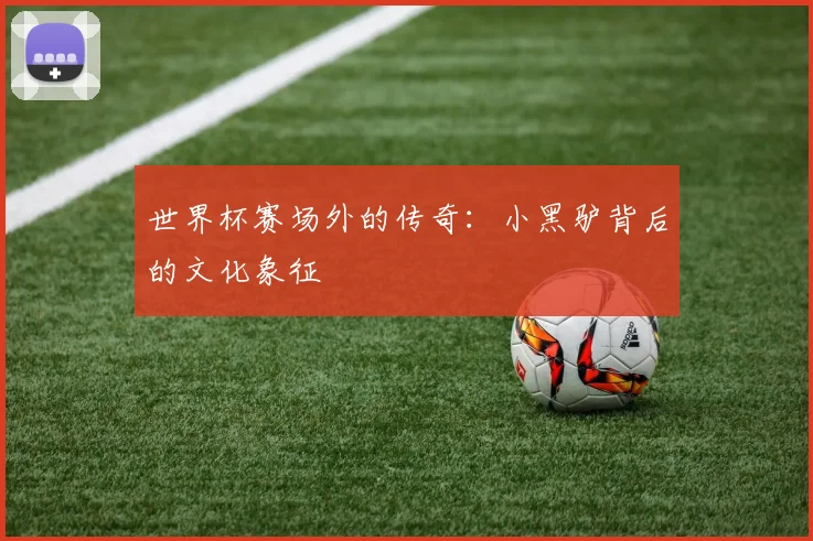世界杯赛场外的传奇：小黑驴背后的文化象征